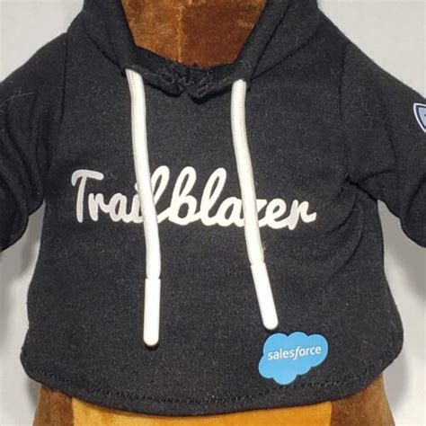 Salesforce 12" Codey the Bear Plush 2017 Wearing Black Trailblazer ...