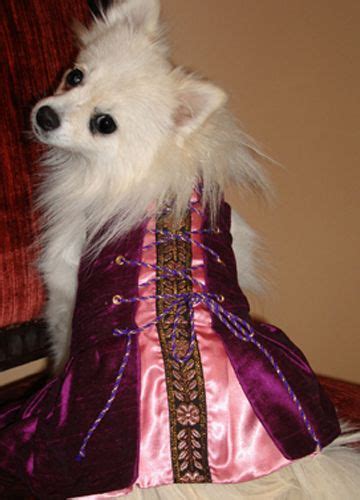 Dog Dresses - Handmade Dog Clothing - Pomeranian Clothing | Renaissance costume, Dog dresses ...