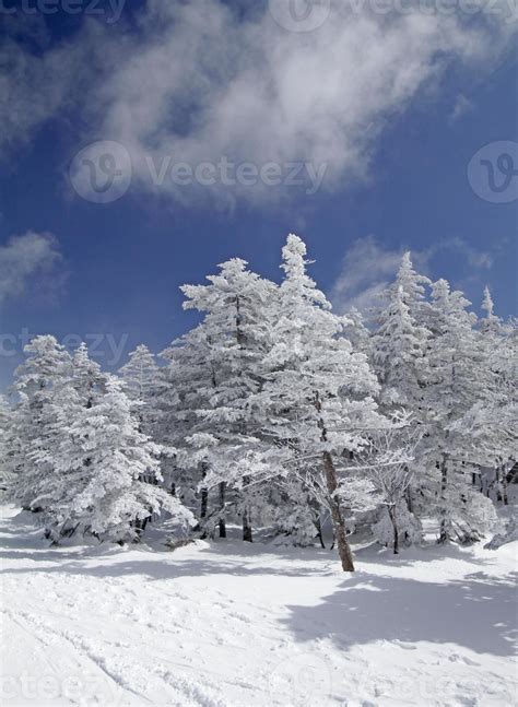 In the snowy mountains near Kusatsu Onsen, Japan 8738096 Stock Photo at ...