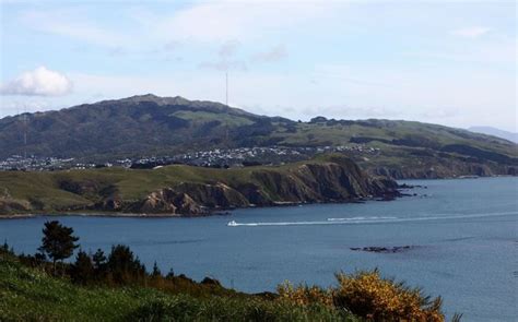 Porirua Harbour cleared for swimmers | Radio New Zealand News