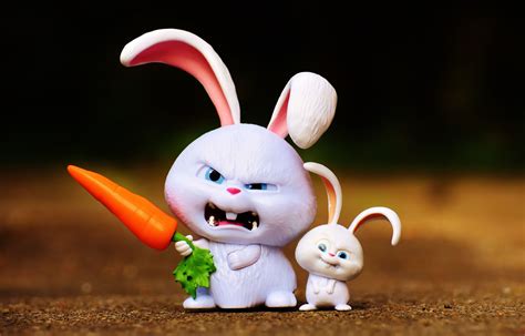 Cute Rabbit Cartoon Wallpaper Hd : Cute Cartoon Bunny Wallpapers | Bodewasude