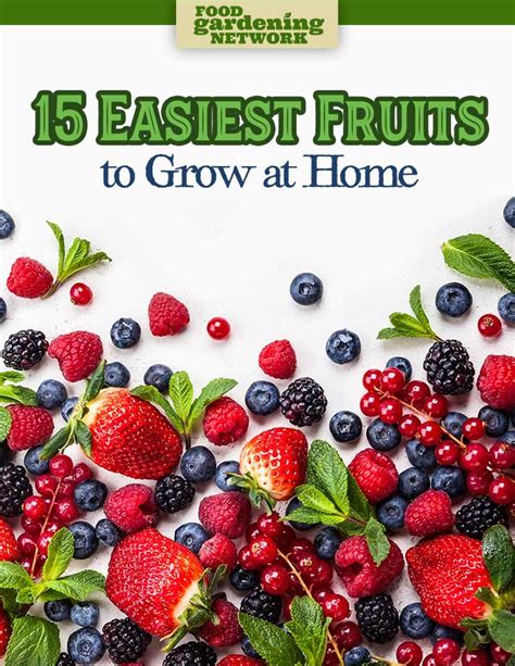 15 Easiest Fruits to Grow at Home - Food Gardening Network