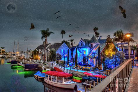 Naples Canal Halloween Photograph by David Zanzinger - Fine Art America