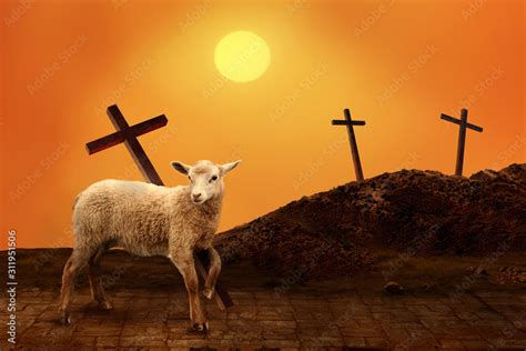 Lamb of God. The atoning sacrifice of Jesus Christ Stock Photo | Adobe ...