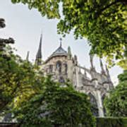 Notre Dame Cathedral - Paris, France Photograph by Melanie Alexandra Price - Fine Art America