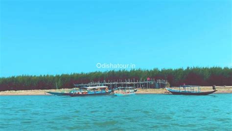 Satapada Chilika Lake, Dolphin Point, Puri | Odisha Tour