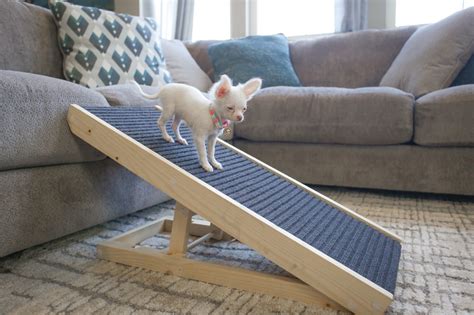 Dog Ramp For Bed, Pet Ramp, Dog Bed, Large Dog Breeds, Small Breed, Small Dogs, Stinky Dog, Dog ...