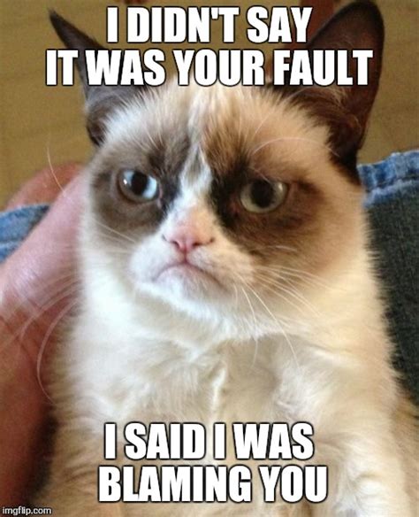 Grumpy Cat Meme - Imgflip