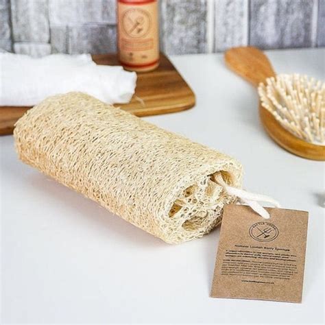 Natural Loofah Luffa Eco Friendly Loofah Sponge Luffa Sponge - Etsy Israel