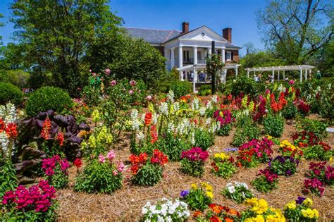 Gardens - Boone Hall Plantation & Gardens