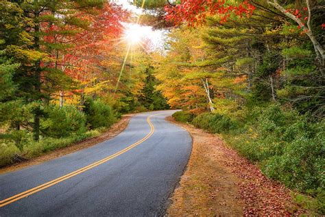 Here's When You Can Expect Peak Fall Foliage in Northern Virginia