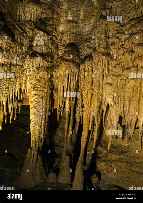 Limestone formations, Mammoth Cave, Mammoth Cave National Park Stock Photo, Royalty Free Image ...