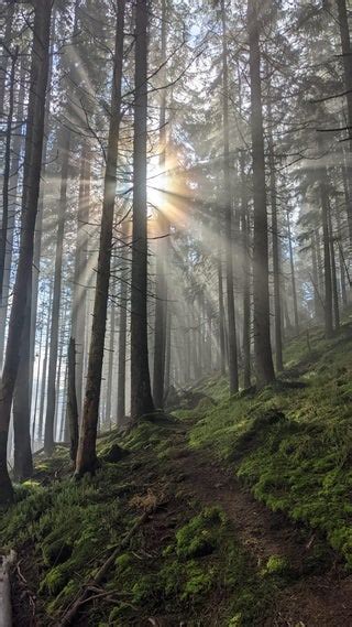 Fall colors in the North Cascades, WA, USA : r/hiking