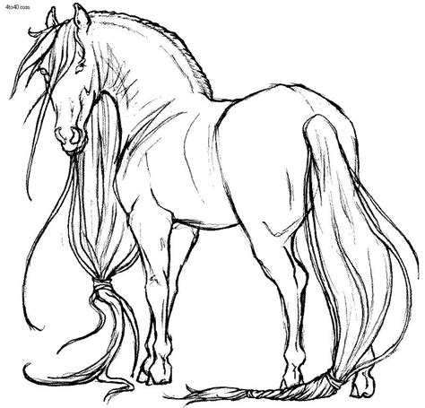 Horse Herd Coloring Pages at GetColorings.com | Free printable colorings pages to print and color