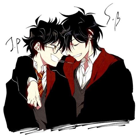 How to view the friendship between Sirius Black and James Potter - Quora