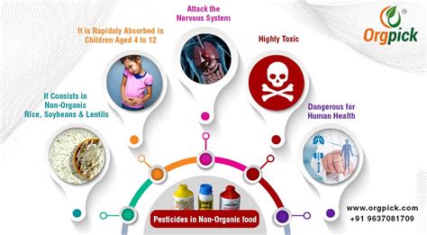 Effects of Pesticides in Non-Organic Food | by Orgpick | Orgpick Pvt ...