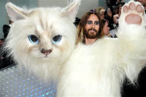 Choupette wasn't a huge fan of Jared Leto's Met Gala cat costume because she 'doesn't like ...