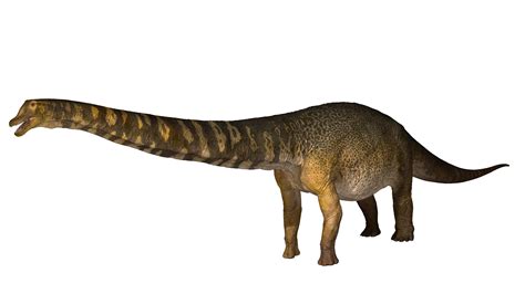 New Dinosaur Species Is Australia’s Largest, Researchers Say - The New ...