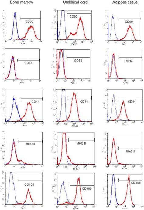 Expression of cell surface markers by flow cytometry of MSCs from BM,... | Download Scientific ...