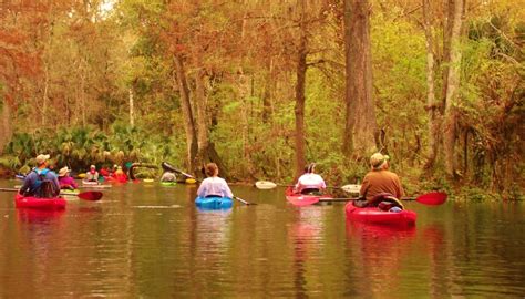 Kayaking Silver Springs State Park | Kayak Tours & Wildlife Adventures