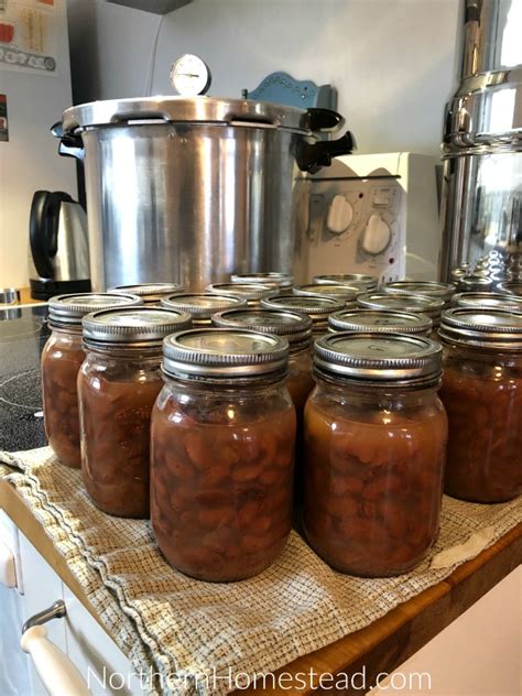 Pressure Canning Dried Beans Recipe - Northern Homestead