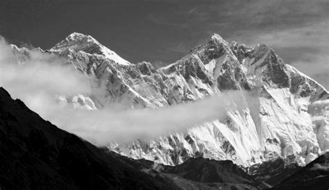 Mount Everest Wildlife - Tidy Himalaya