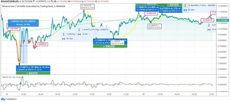 Binance Coin Reflects Dramatic Movement on Intraday Chart