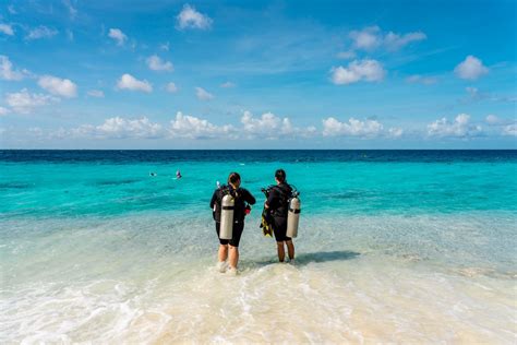 The Complete Guide to Scuba Diving in Bonaire (Caribbean)