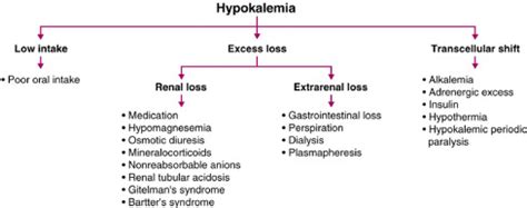 Hypothermia-Induced Hypokalemia - The American Journal of Medicine