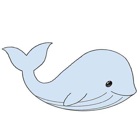 Details more than 148 whale easy drawing latest - seven.edu.vn