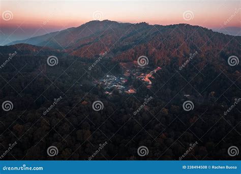 Early Morning Sunrise in the Forest Stock Photo - Image of mountain ...