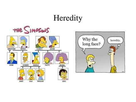 PPT - Chapter 6: Heredity and Genetics PowerPoint Presentation, free download - ID:6949599