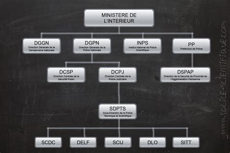 organigramme police scientifique – organisation de la police nationale ...