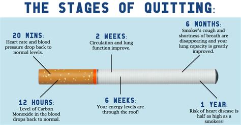 Smoking Cessation Timeline - Legacy Spine & Neurological Specialists