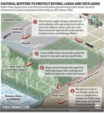 Buffer Strips Explained – Crystal Waters Project