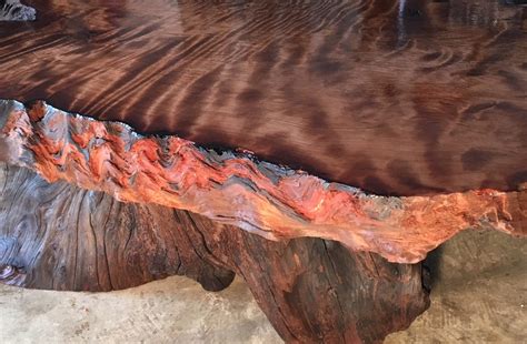 Redwood Burl Slabs 5 – Redwood Burl Inc.