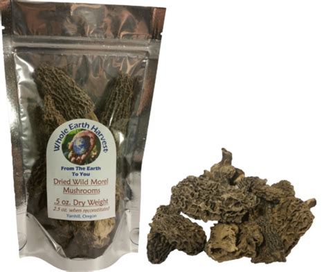 Dried Morel Mushrooms | Whole Earth Harvest