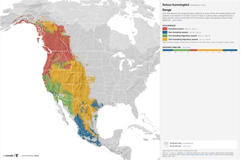 Rufous Hummingbird eBird Range Map - Enchanted by the Wild