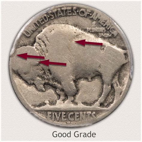 Grading Condition Of Buffalo Nickels - Buffalo Nickel Club