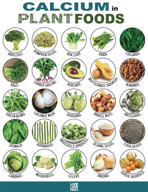 25 Calcium-Rich Plant Foods That DON'T Come From Dairy! - Live Love Fruit