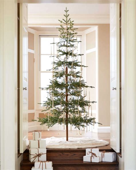 10 Things Nobody Tells You About Christmas Trees - Gardenista