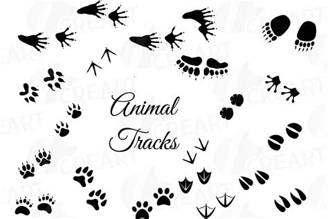 animal footprint clipart 20 free Cliparts | Download images on ...