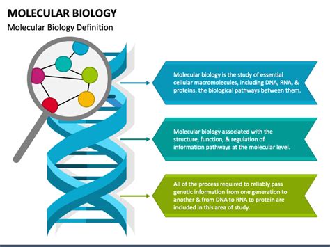 Top 109+ Biology animations for powerpoint - Merkantilaklubben.org