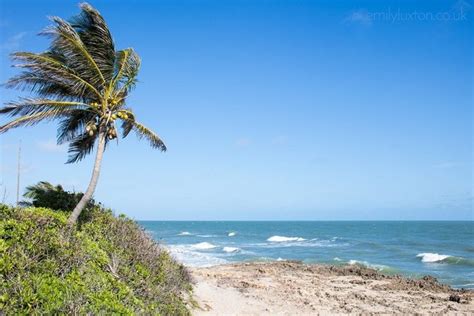 7 Fun Things to do in Hutchinson Island Florida