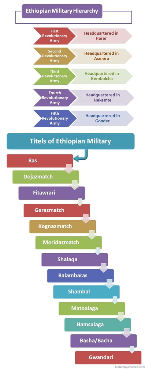 Ethiopian Military Hierarchy Structure | Army Hierarchy