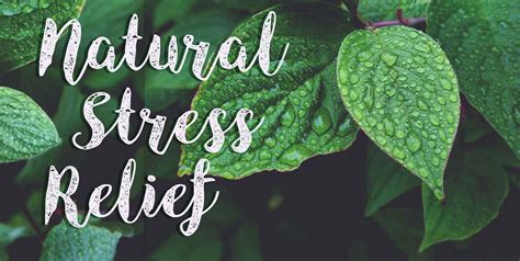 Natural Stress Relief | Mama Jean's Natural Market