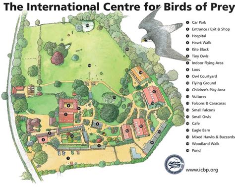 International Centre for Birds of Prey