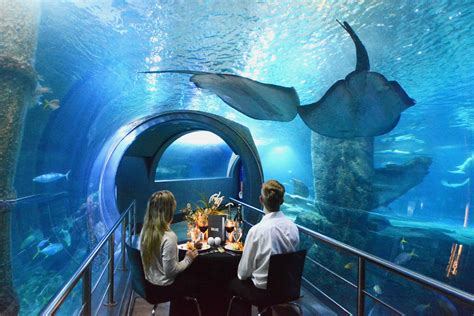 Private Dining Experience | SEA LIFE Melbourne Aquarium