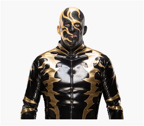 Gold Dust Wwe Png, Transparent Png , Transparent Png Image - PNGitem