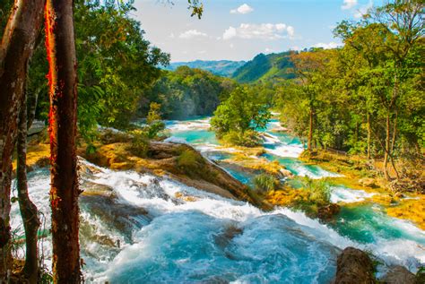 Agua Azul, Chiapas, Mexico jigsaw puzzle in Waterfalls puzzles on TheJigsawPuzzles.com